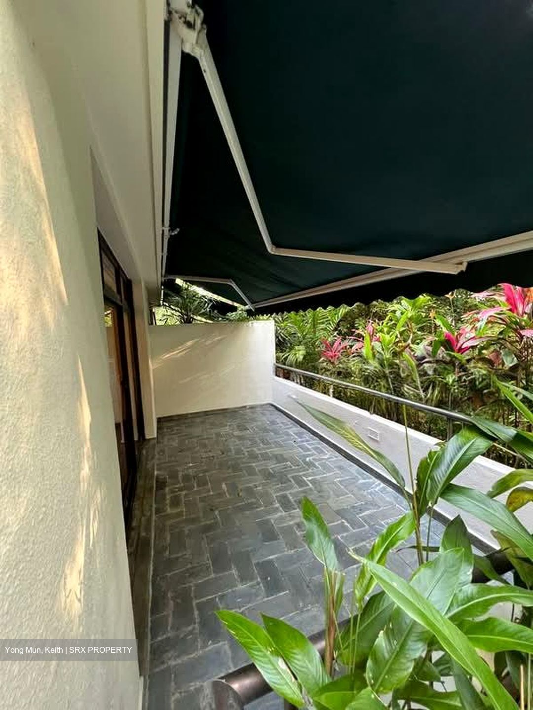The Arcadia (D11), Condominium #544069631